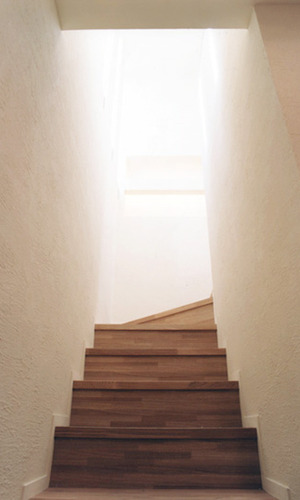 自然の光が降り注ぐ階段