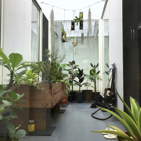 湘南・藤沢市長後の中庭のある2世帯住宅 グリーン、緑と暮らす　2階中庭