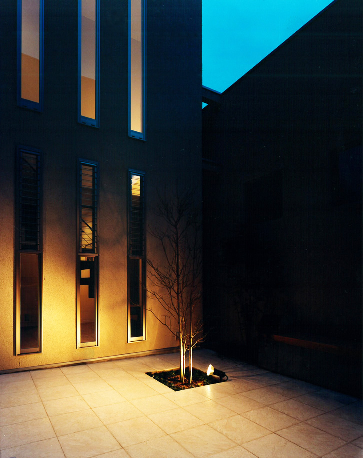 夜には幻想的な光と影を演出する、中庭にあるシンボルツリー