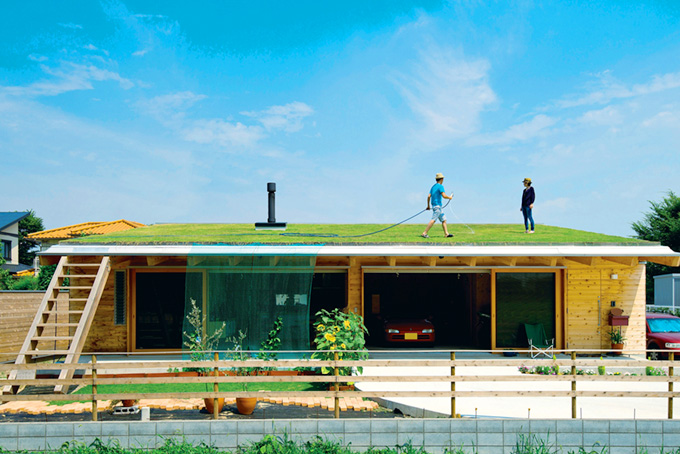 やっちゃえ 草屋根 屋上緑化のある風景