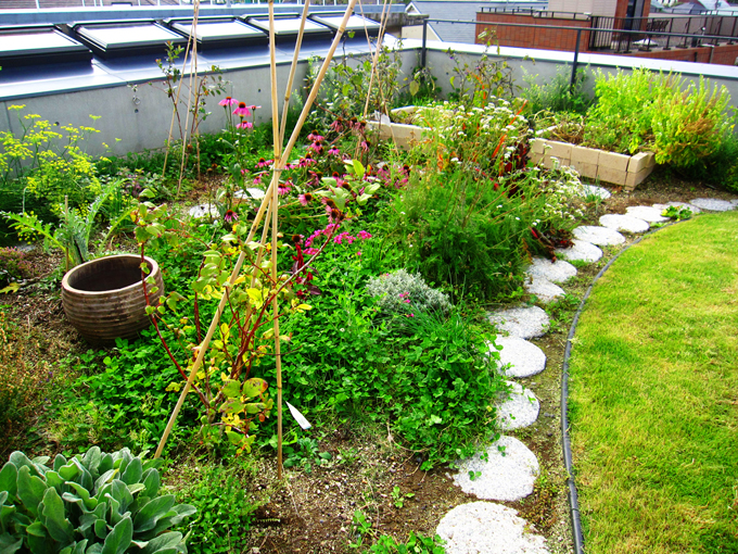 屋上を庭にするという発想