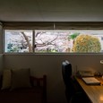 壁に写真でも飾ったような借景を切り取るハイサイド窓
