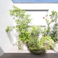 植栽デザイン