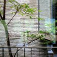 雷山の別荘｜ギャラリーから見た中庭の風景