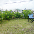 しっかり根付いて。お昼休みは休憩？