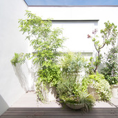 植栽デザイン