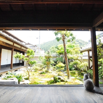 坪庭