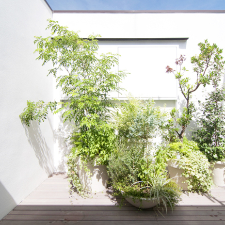 植栽デザイン