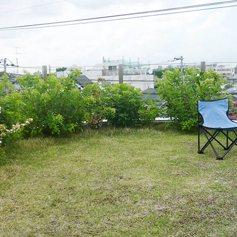 しっかり根付いて。お昼休みは休憩？