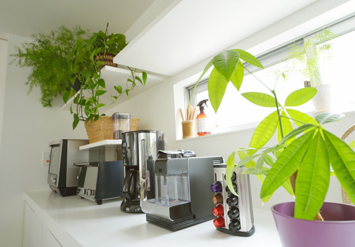 メタリックな質感と植物がマッチしたキッチンスペース