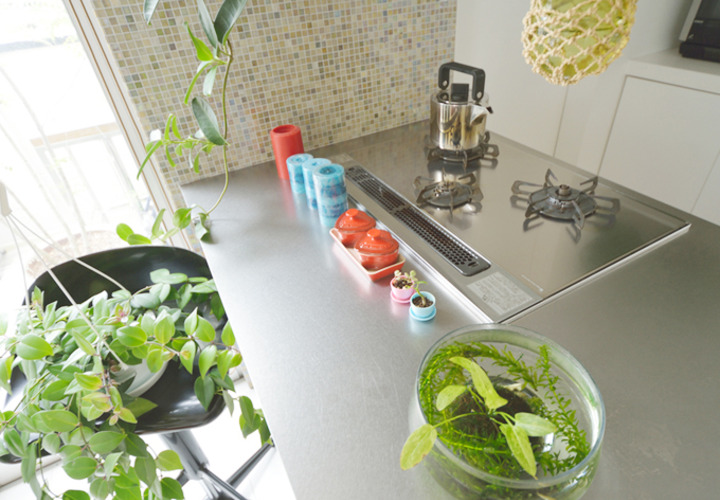 キッチンカウンターにも植物を飾って.jpg