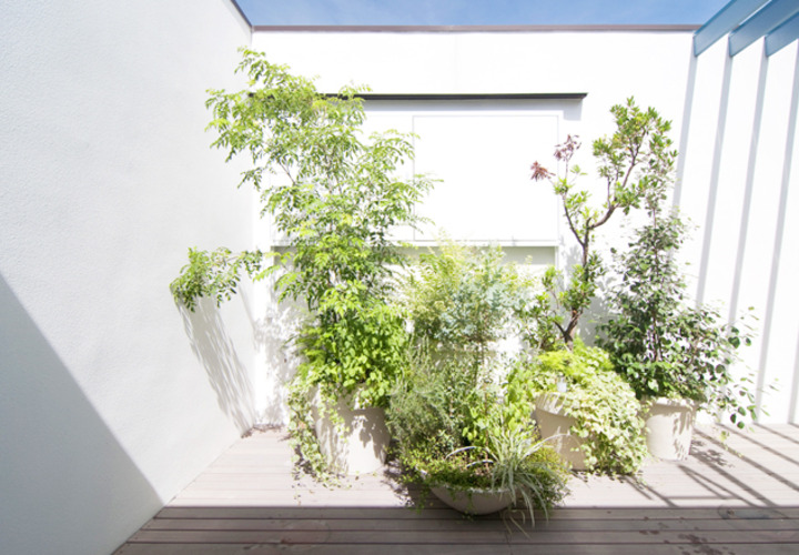 植栽デザイン