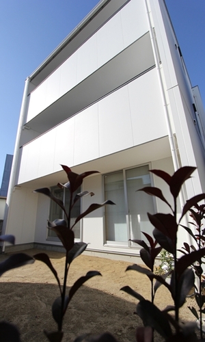 南から外観を望む。