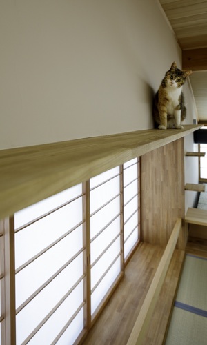 出窓の上のキャットウォーク