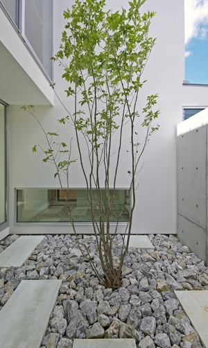 坪庭