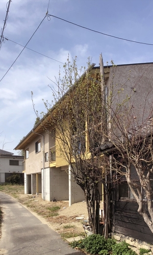 外観05