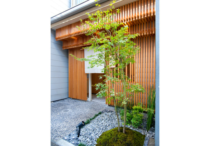 青もみじと苔の植栽