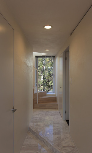 窓からのぞく樹木が白い空間に映える階段へと続く1階廊下