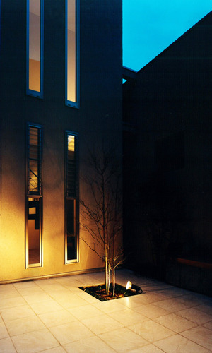 夜には幻想的な光と影を演出する、中庭にあるシンボルツリー