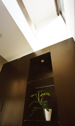 下駄箱上の吹き抜けにあるハイサイドライトが、明るさを提供する玄関