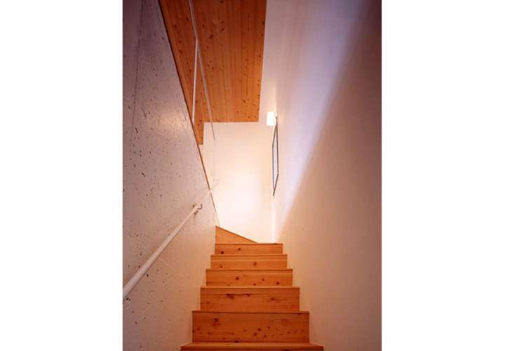 階段と天井材にムク材を配したリノベーション