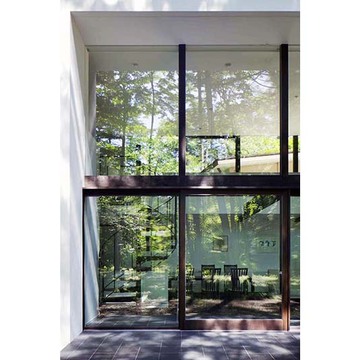 木立が窓に写り自然と一体の家
