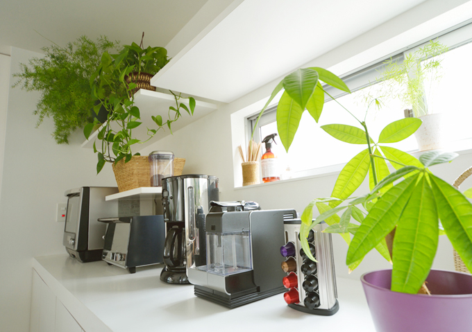 メタリックな質感と植物がマッチしたキッチンスペース