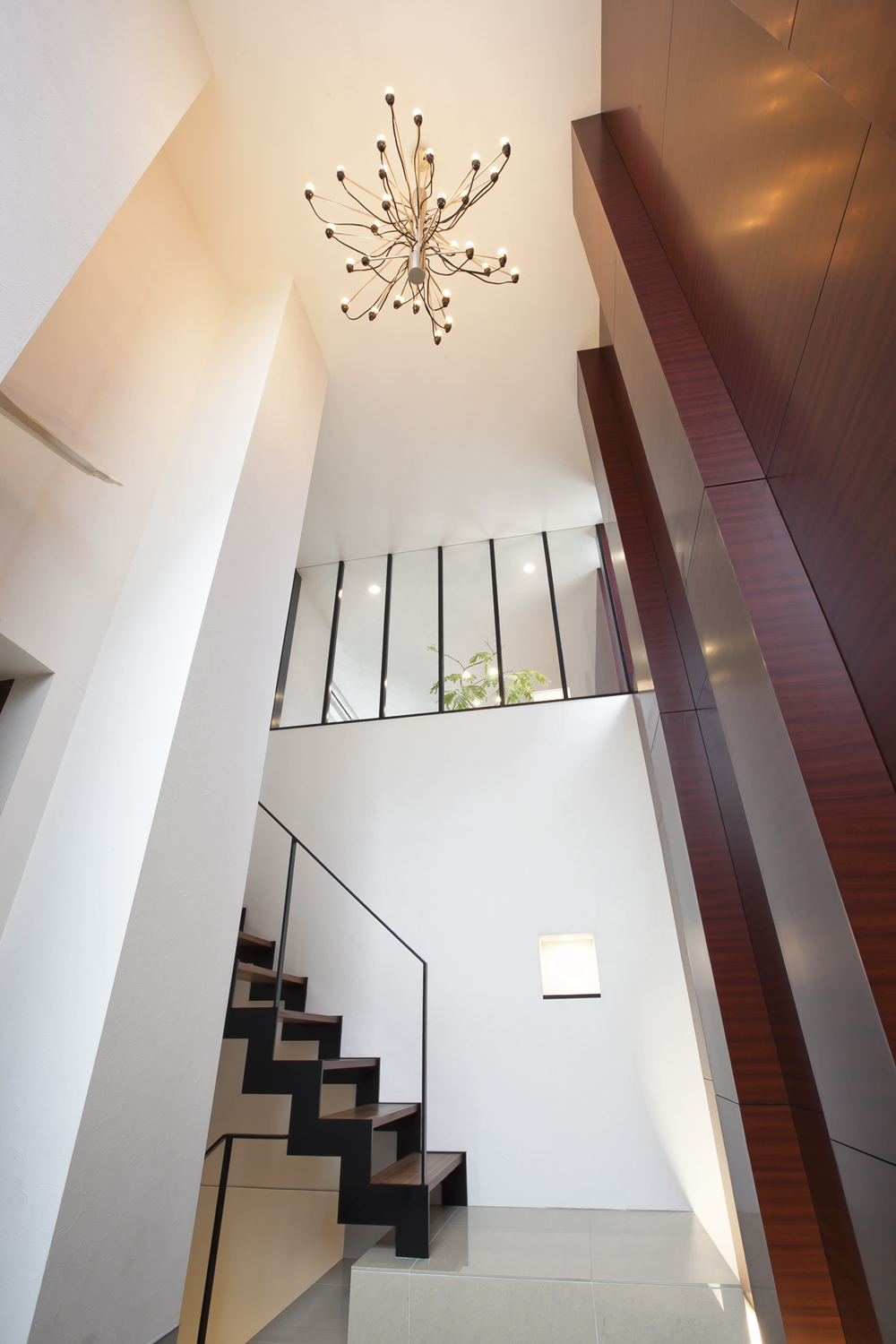 階段が敷地の高低差を解消するのと同時に、魅せる空間作りに活かされている