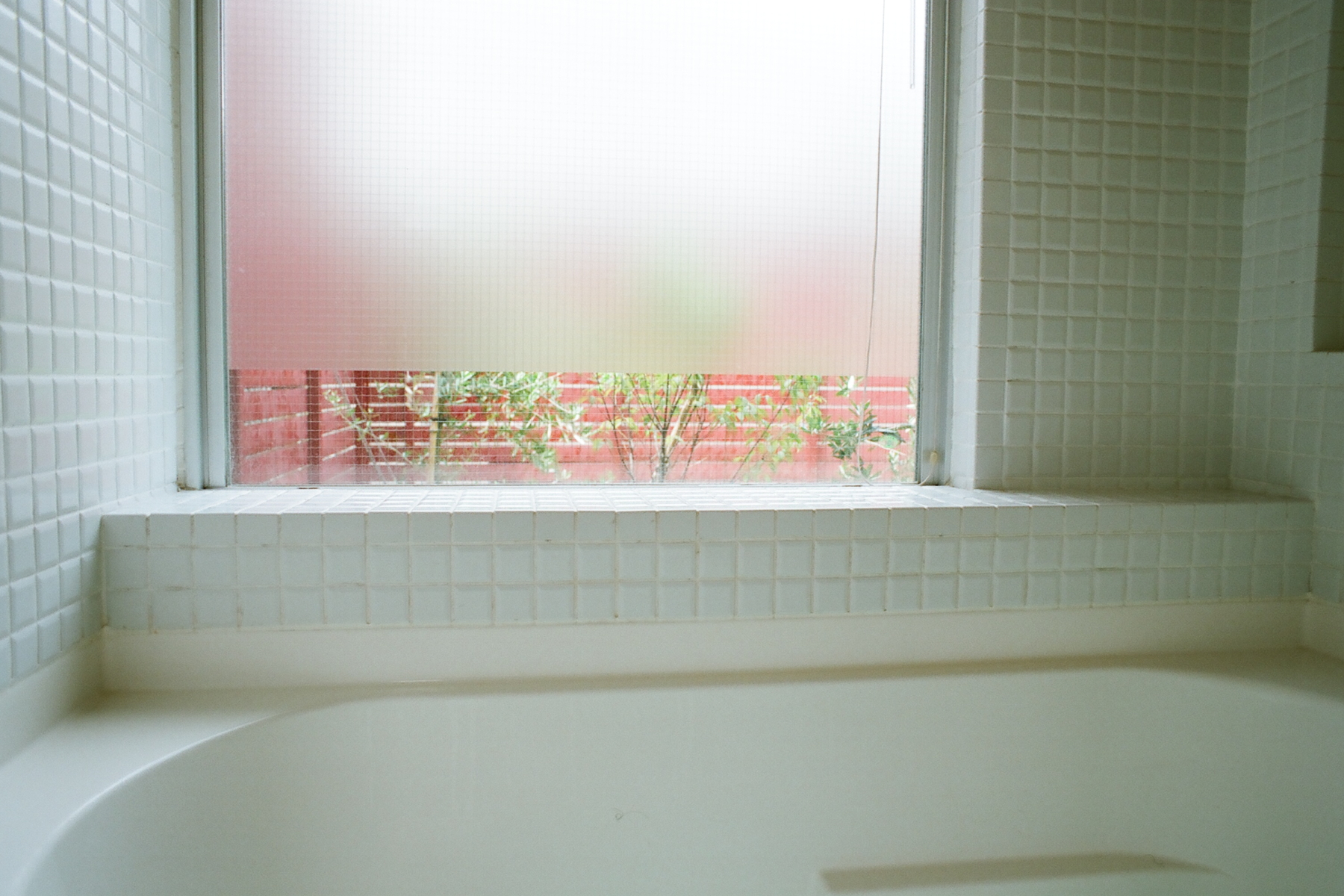 浴室の窓