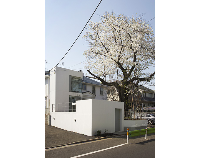 大きな桜の木がある家